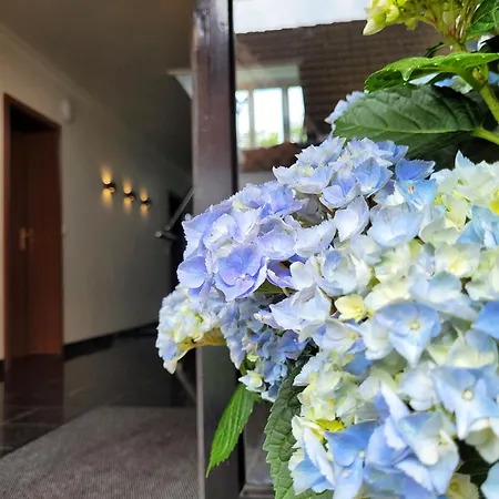 Appartamento Moderne Und Geraeumige Ferienunterkunft - Neu Und Preiswert *